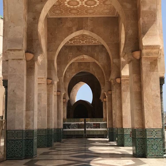 Meet your Posher, Tima - Picture 1 of 1